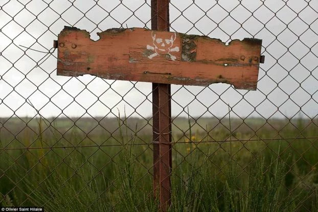 Το «στοιχειωμένο» δάσος του Βερντέν: Το άγνωστο «Τσέρνομπιλ» στην καρδιά της Ευρώπης, κληρονομιά του Α΄Π.Π. (εικόνες)